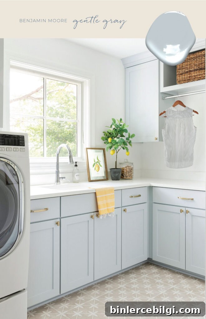 Gentle Gray by Benjamin Moore