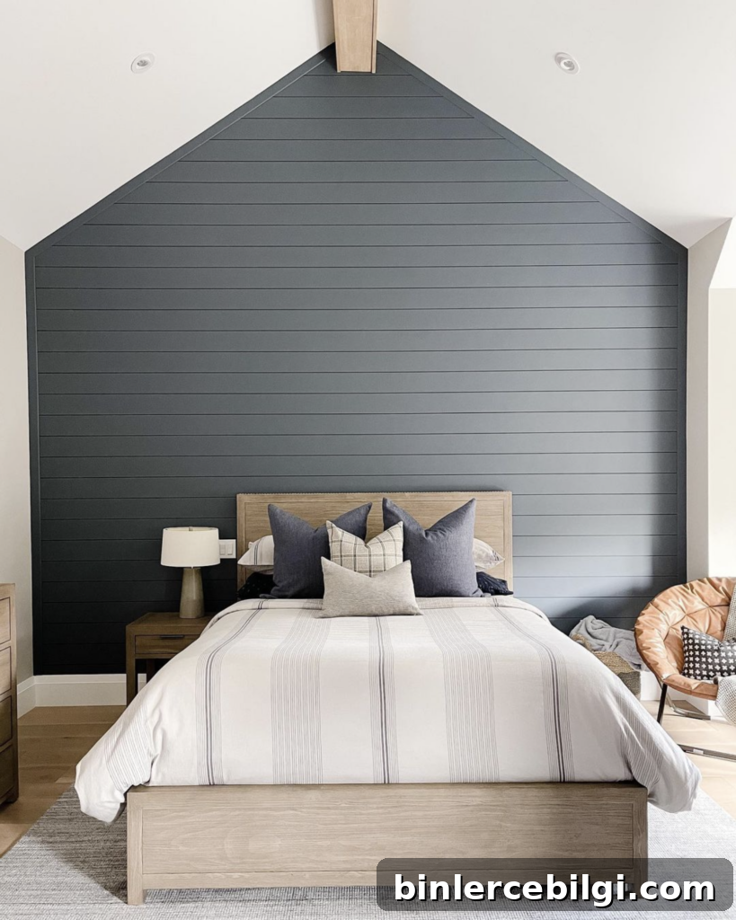 Outerspace by Sherwin Williams