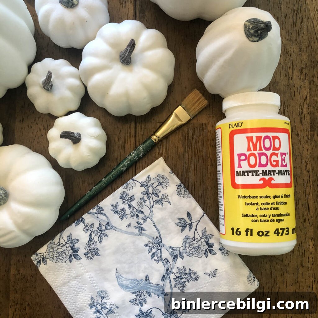 Supplies for making DIY chinoiserie pumpkins