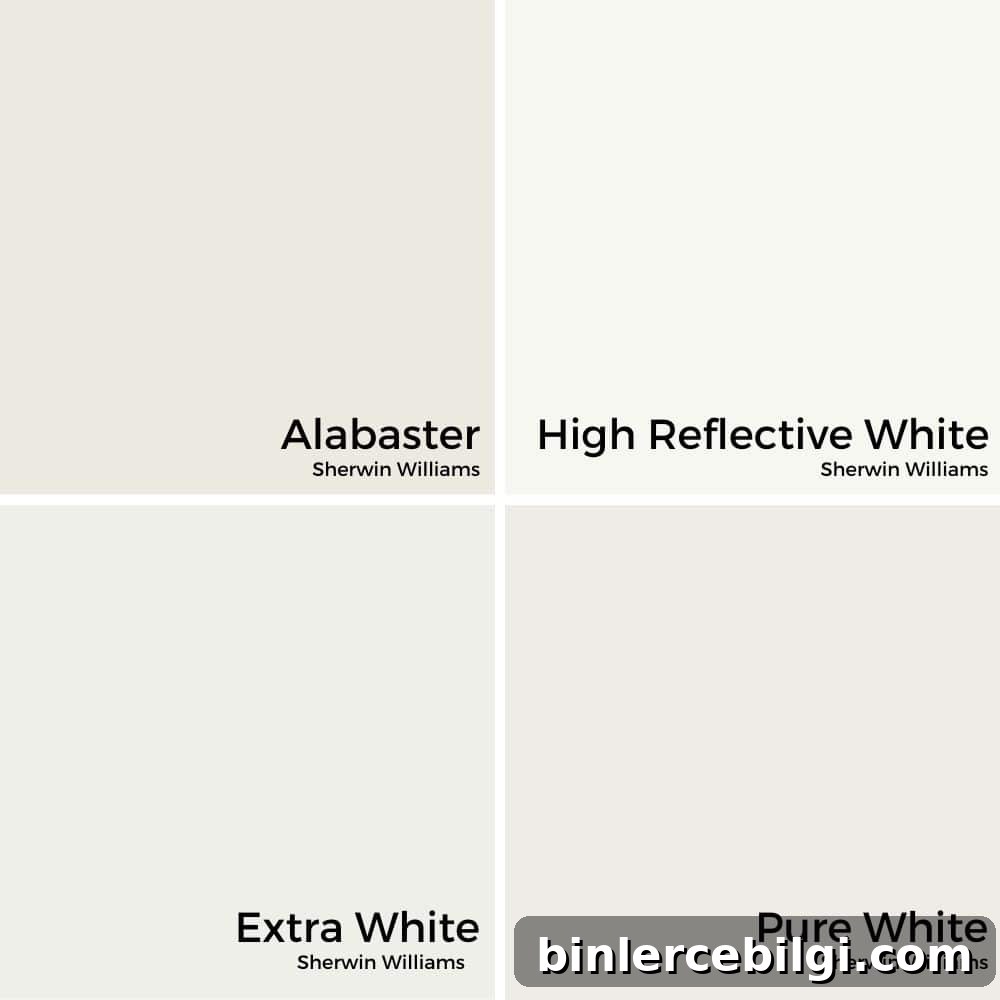 Alabaster, Pure White, Extra White, High Reflective White