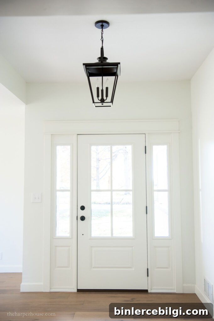 alabaster white door