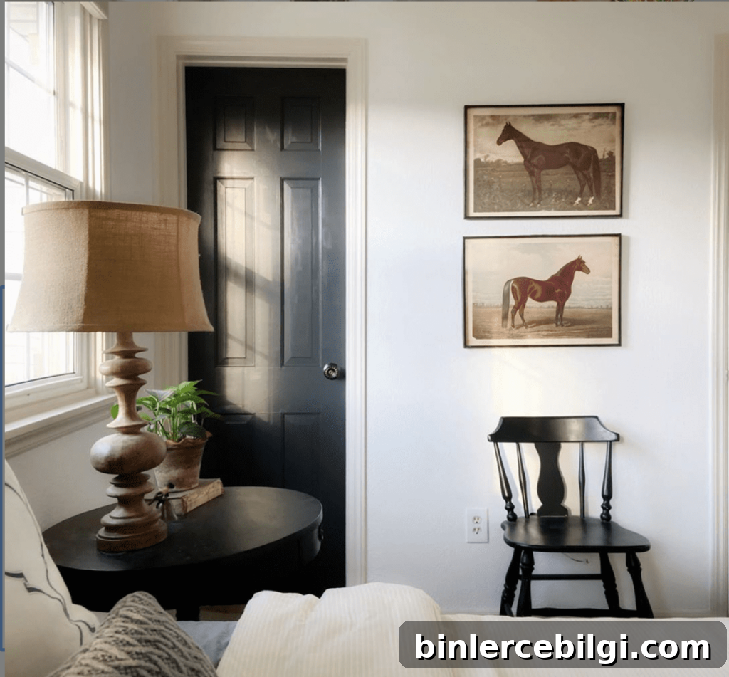Interior door painted SW iron ore