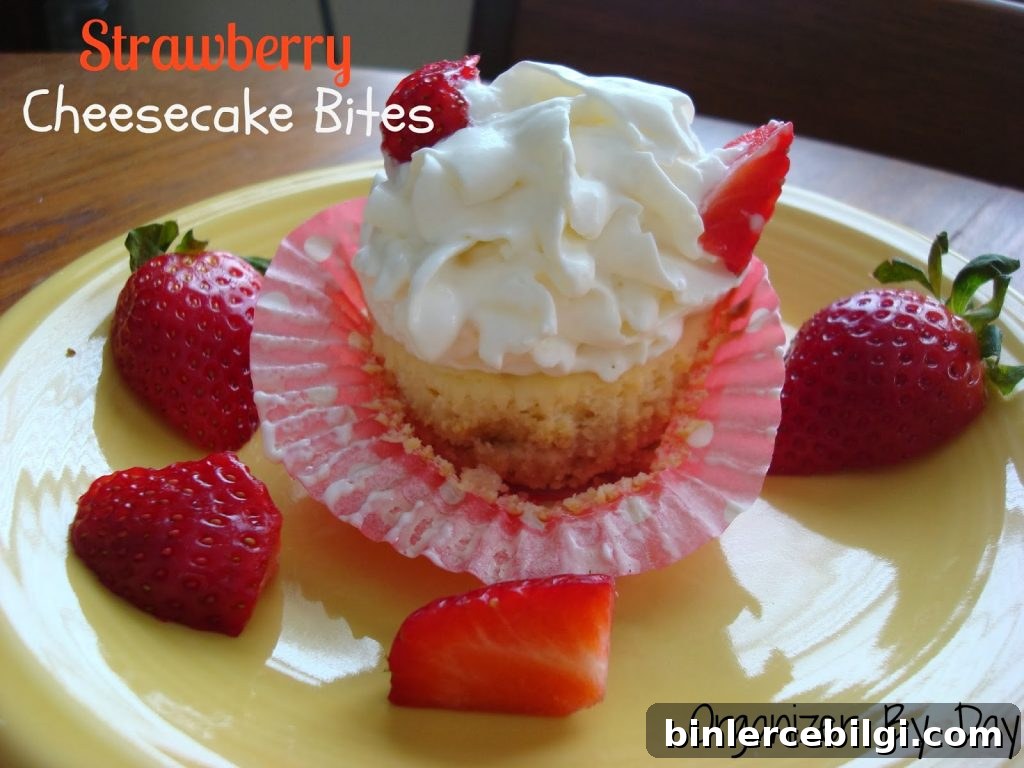 Strawberry Cheesecake Bites