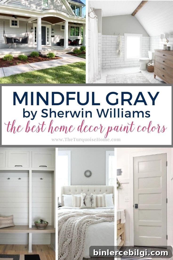 Most-Read Posts of 2021 9 Mindful Gray Paint Color by Sherwin Williams