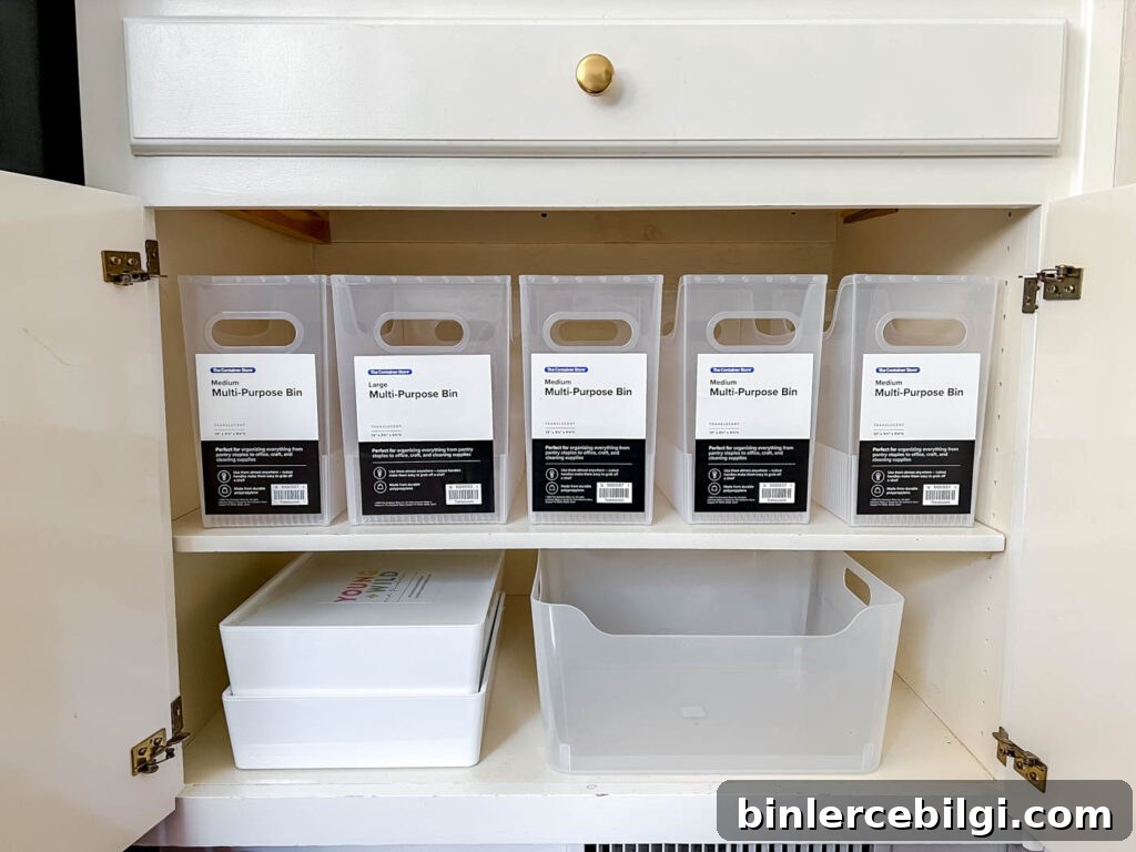 Clear bins for arts and crafts
