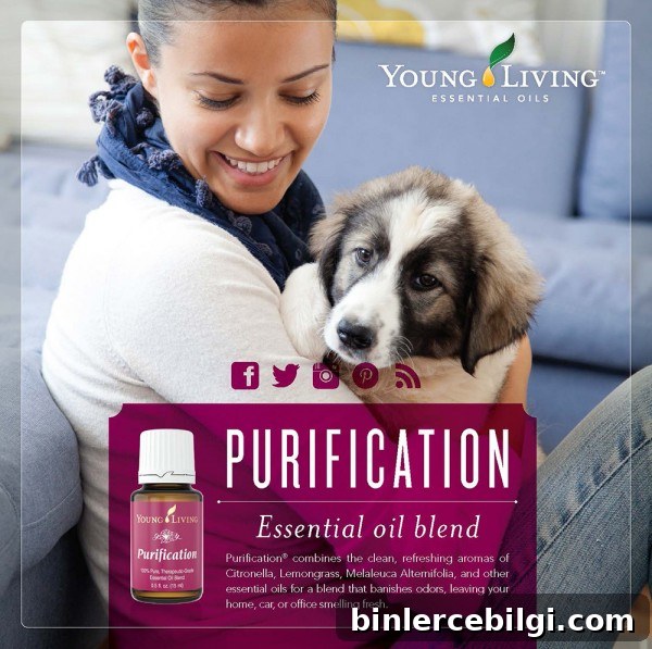 Purification Essential Oil - gets the stink out! | TheTurquoiseHome.com