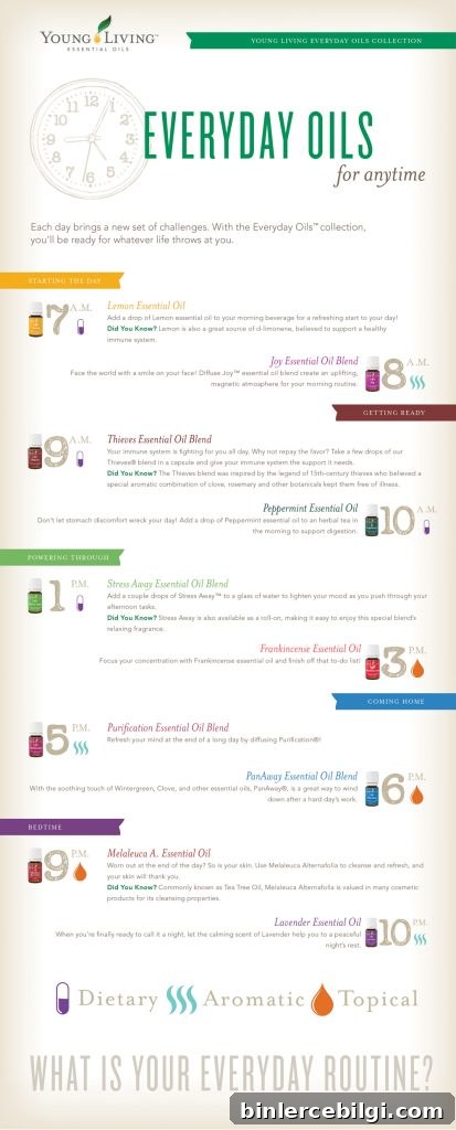 Everyday Oils Clock Infographic