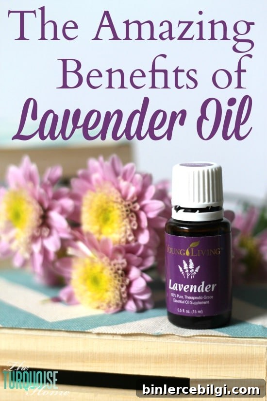 The Amazing Benefits of Lavender Oil