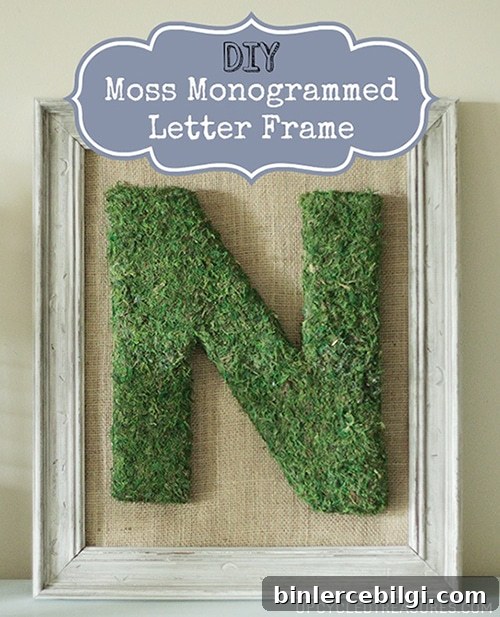 DIY Moss Monogrammed Letter Frame