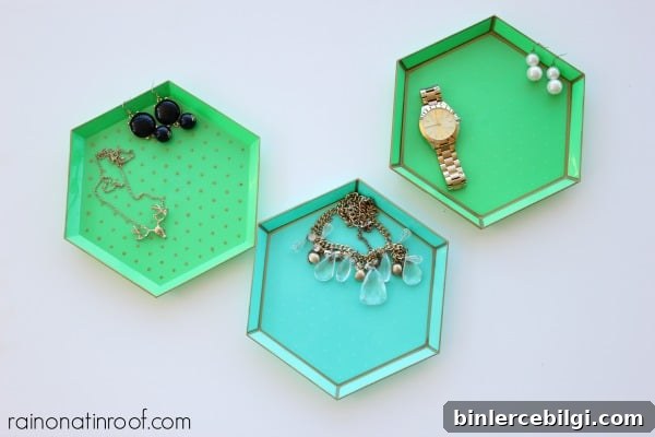 Up-cycled Target Trays
