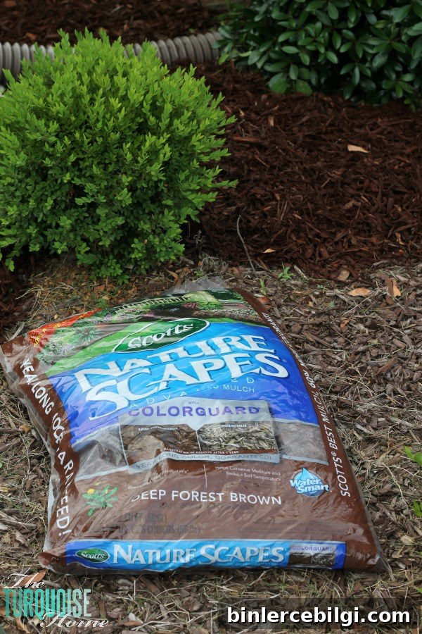 Mulch the front Flower Beds
