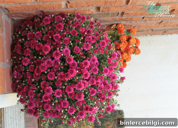 Turquoise and Orange Fall Home Tour | TheTurquoiseHome.com