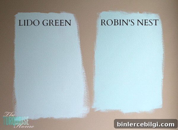 Benjamin Moore Lido Green and Robin's Nest | Baby Girl's Nursery | TheTurquoiseHome.com