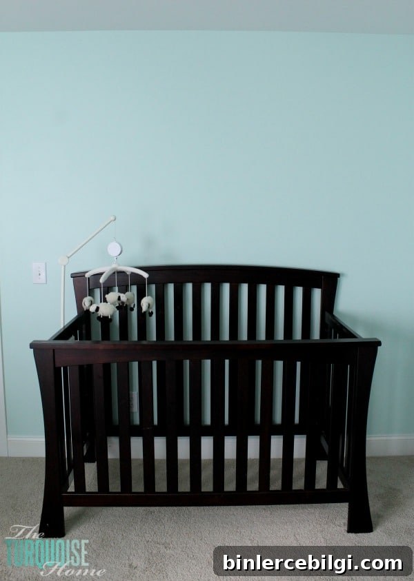 Benjamin Moore Lido Green | Baby Girl's Nursery | TheTurquoiseHome.com