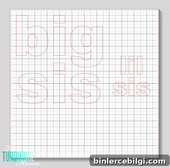 DIY Big Sis and Lil Sis T-shirts | TheTurquoiseHome.com