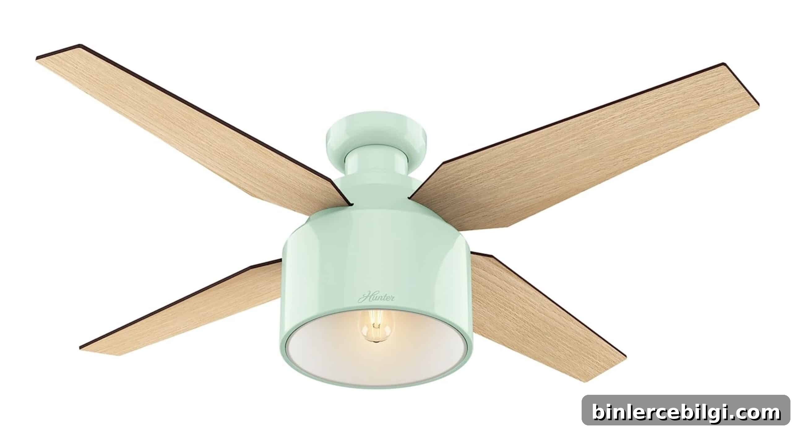 Hunter Cranbrook low profile fan