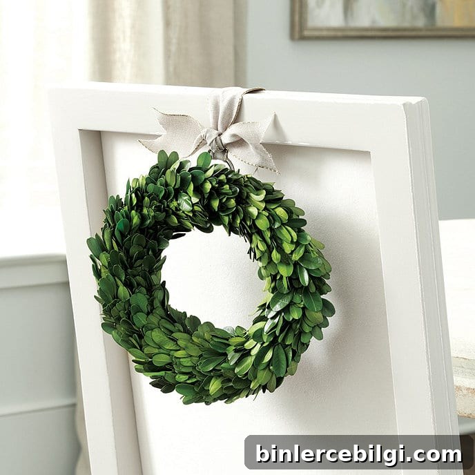 preserved boxwood mini wreath