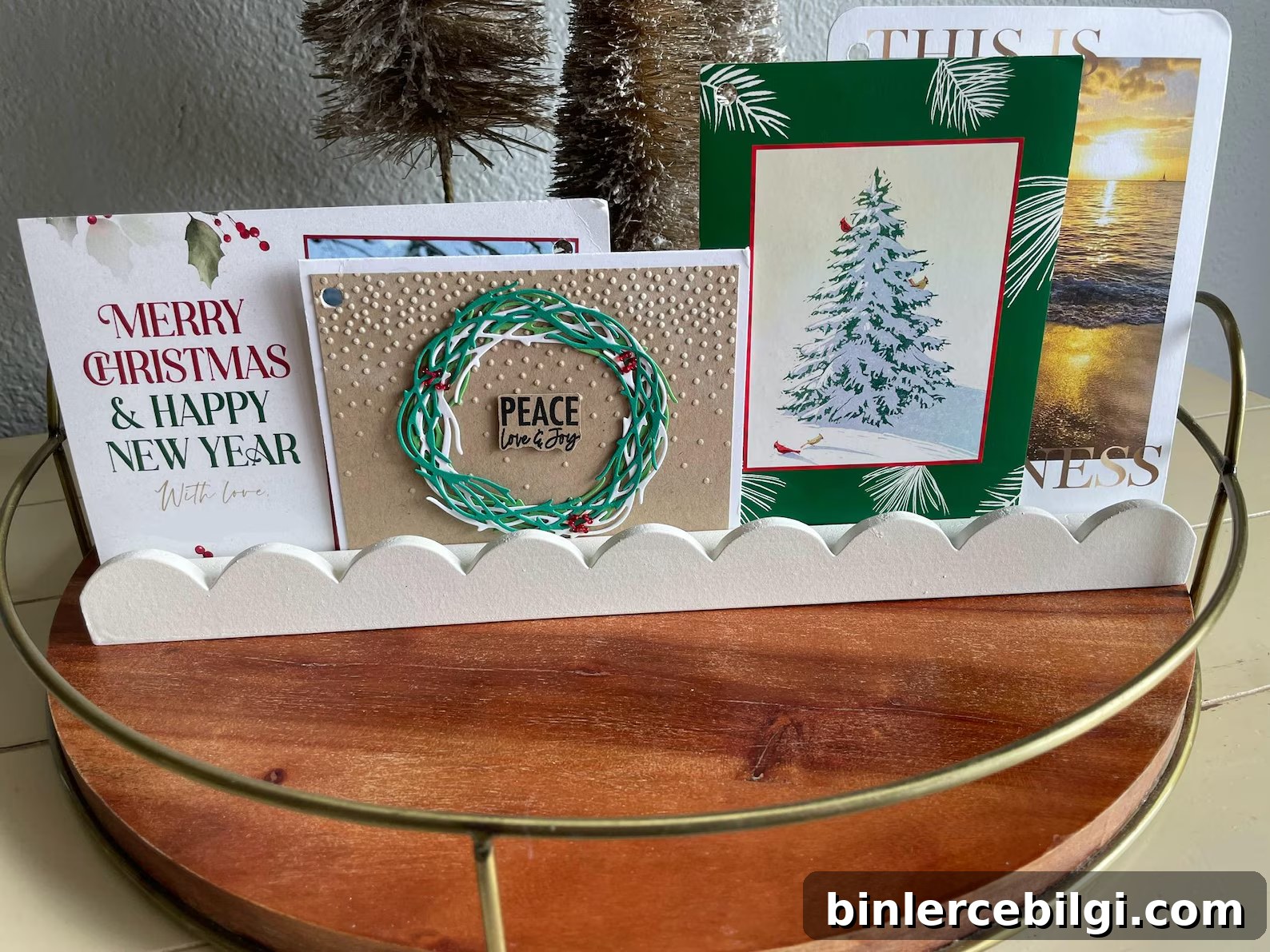 scallop edge card display