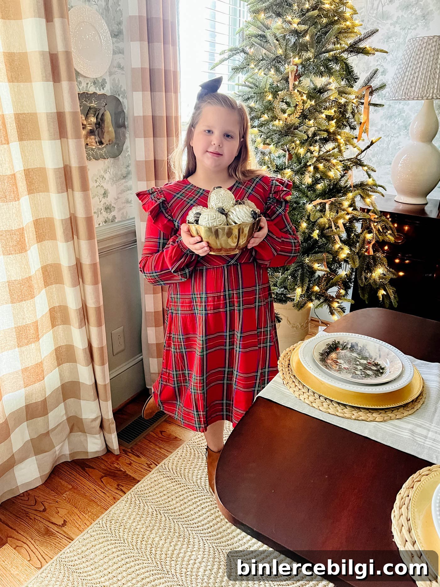 Little girl in plaid Christmas dress
