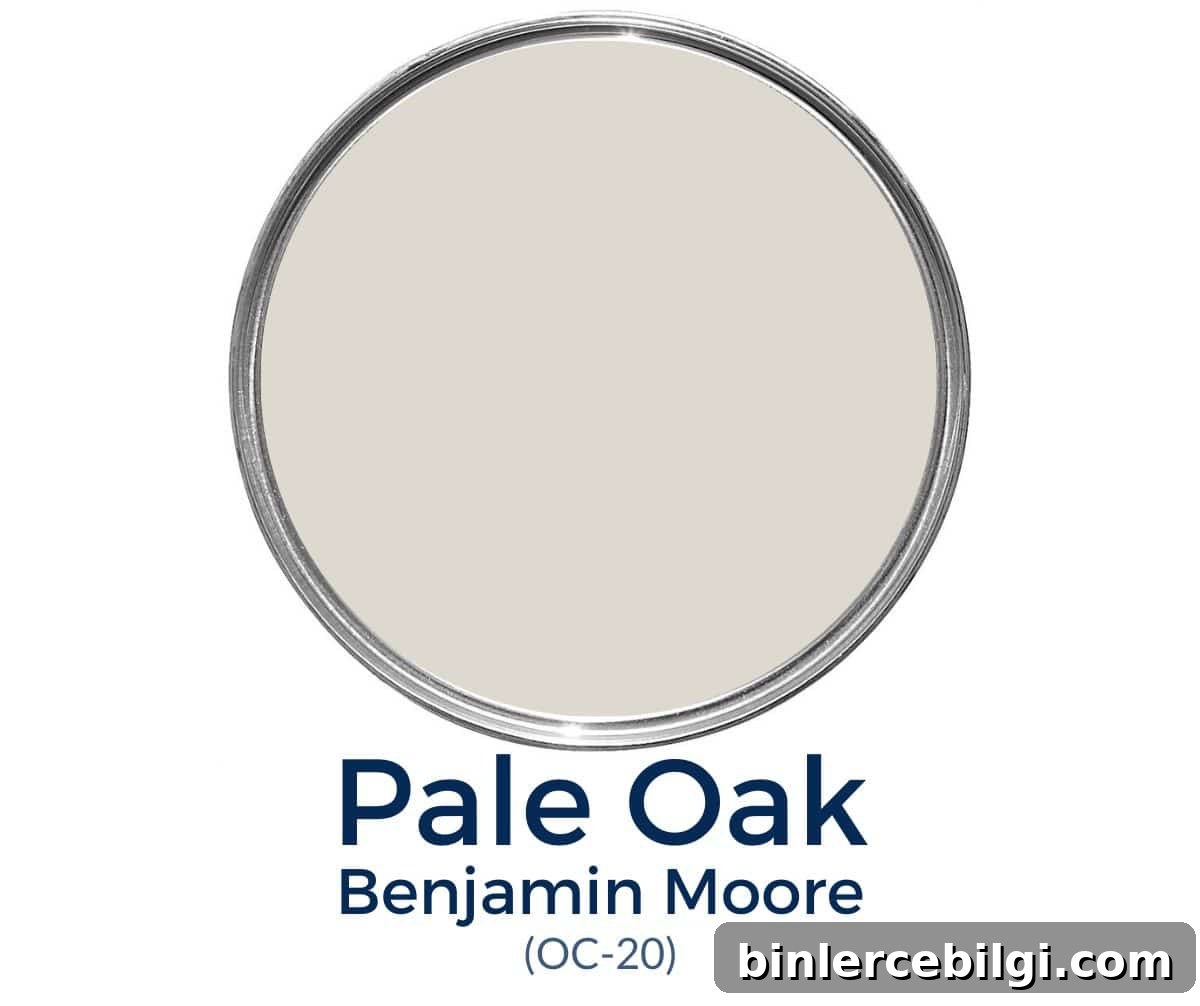 Benjamin Moore Pale Oak OC-20 Paint Color - Warm, Versatile Greige 2 Pale Oak Benjamin Moore