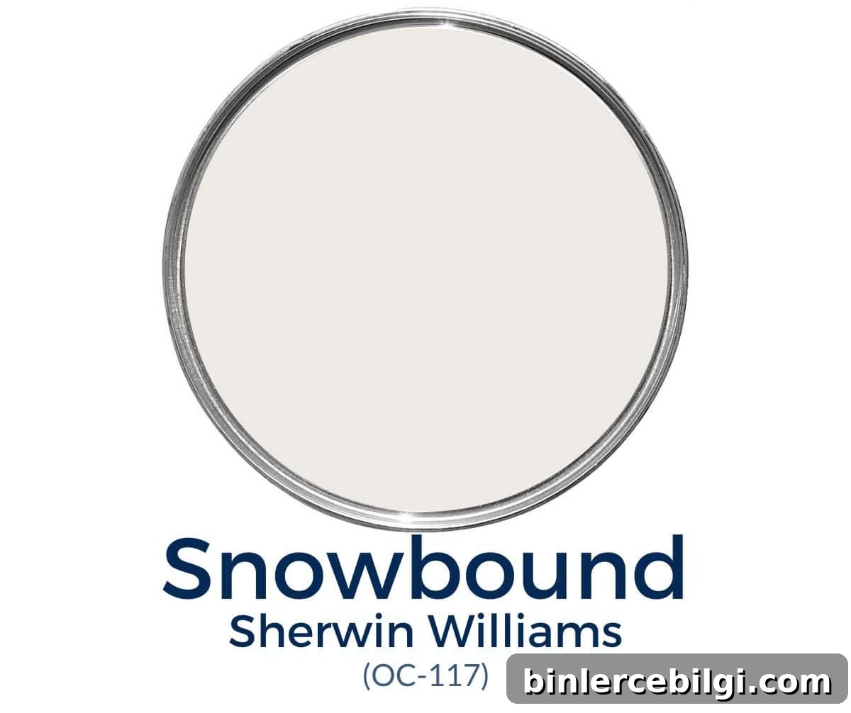Sherwin Williams Snowbound paint color