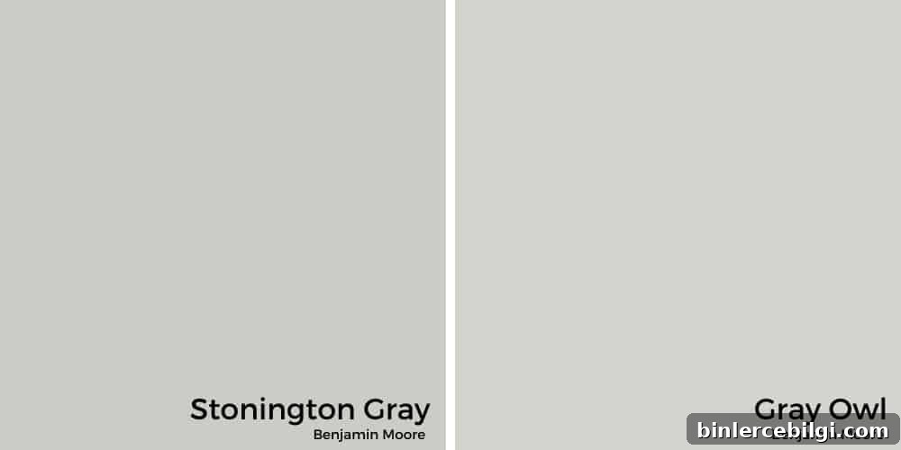 Stonington Gray vs. Gray Owl