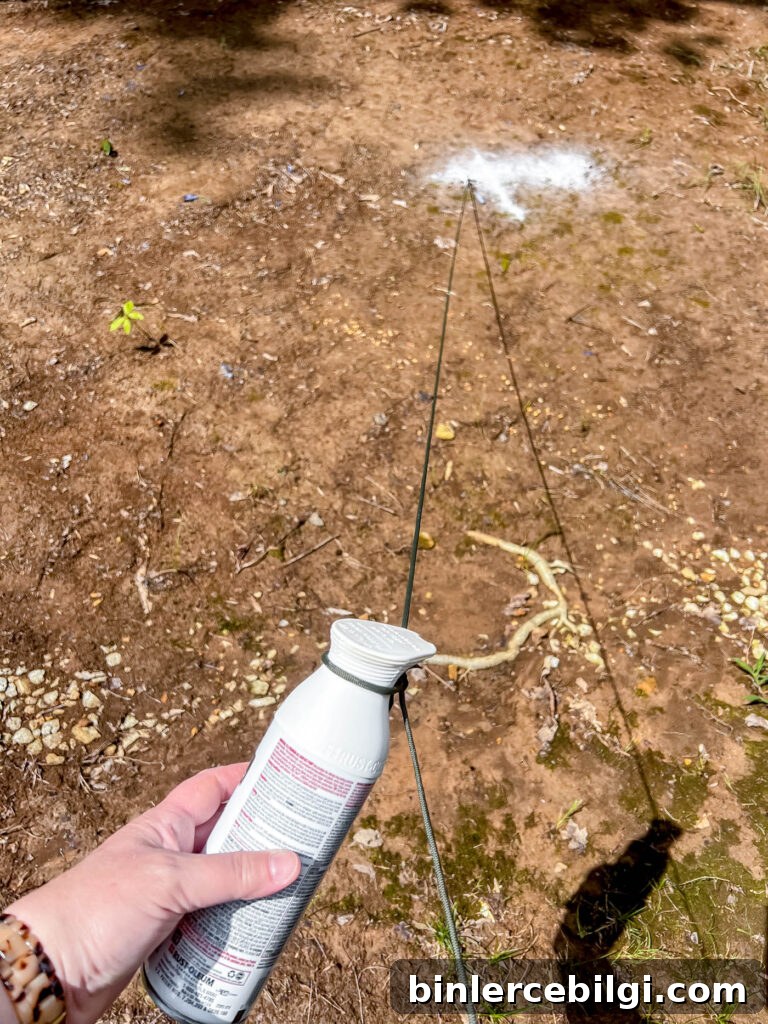 How to Build a DIY Pea Gravel Fire Pit Area 5 Spray paint tied to string for DIY fire pit