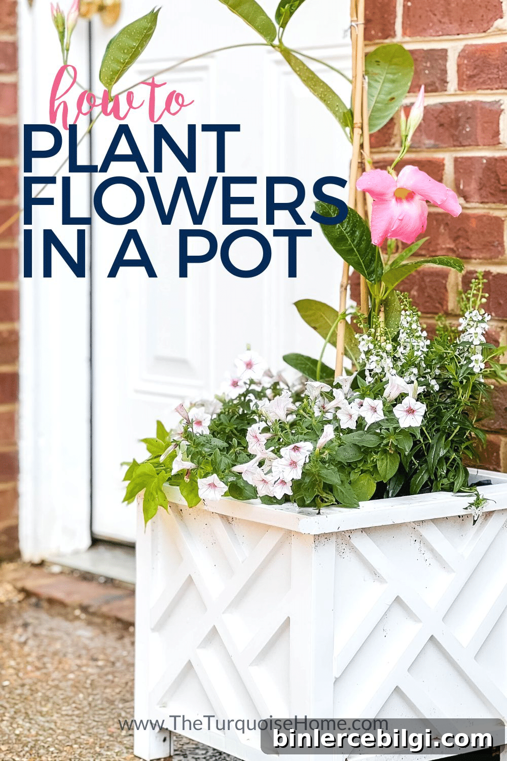 How to Plant Flowers in a Pot