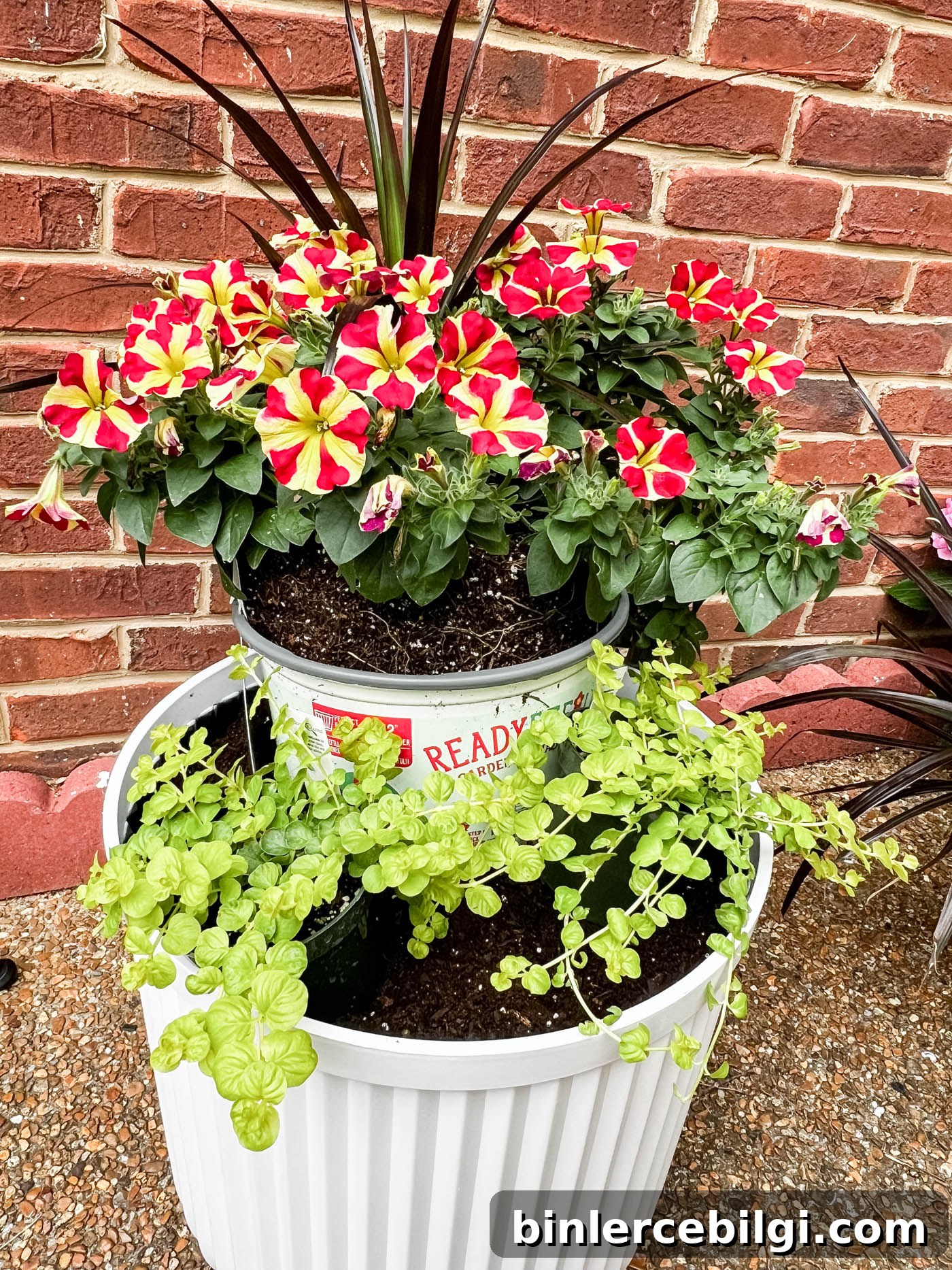 Dry fit flowers in planter