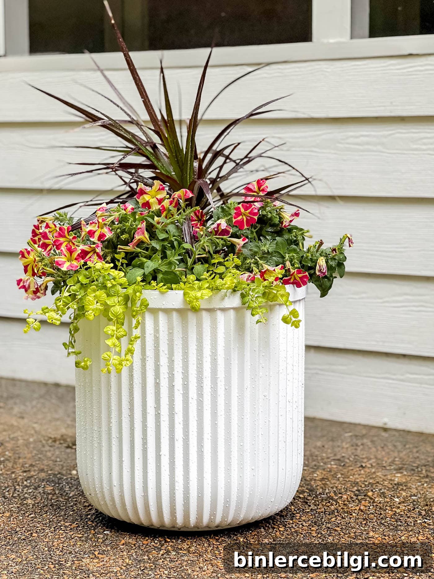 Planter filled with thriller, filler, spiller plants