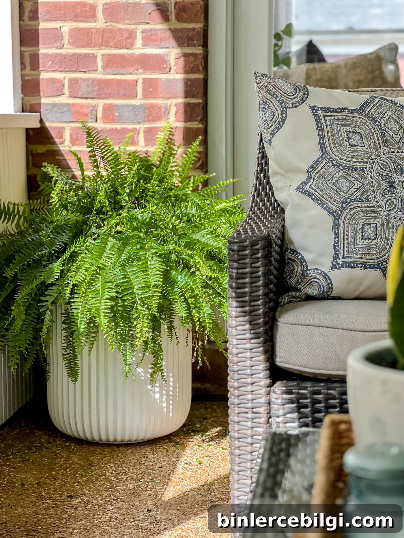fluted planter example