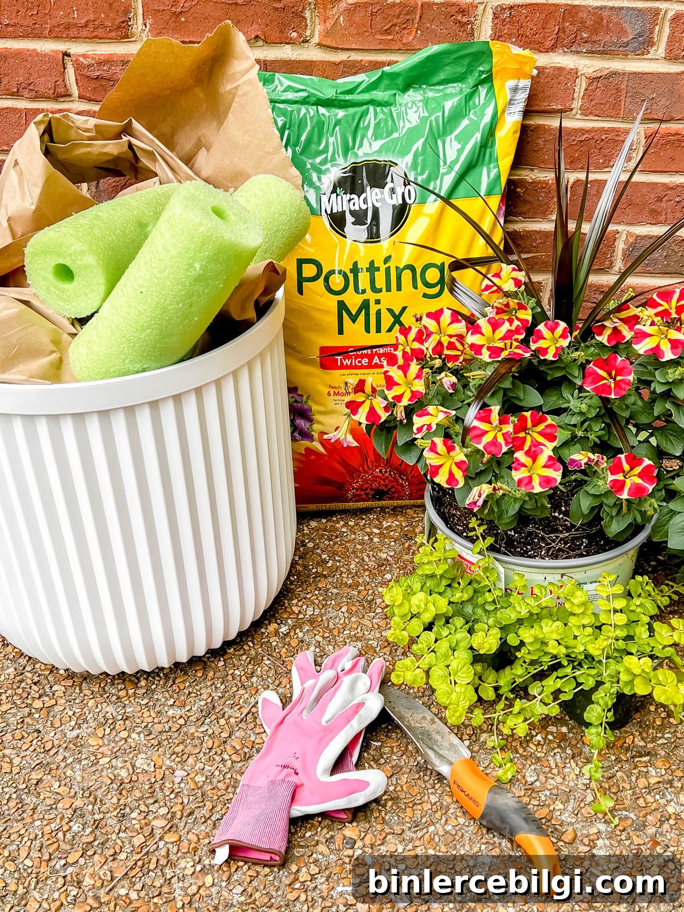 gather materials to plant flowers in a pot