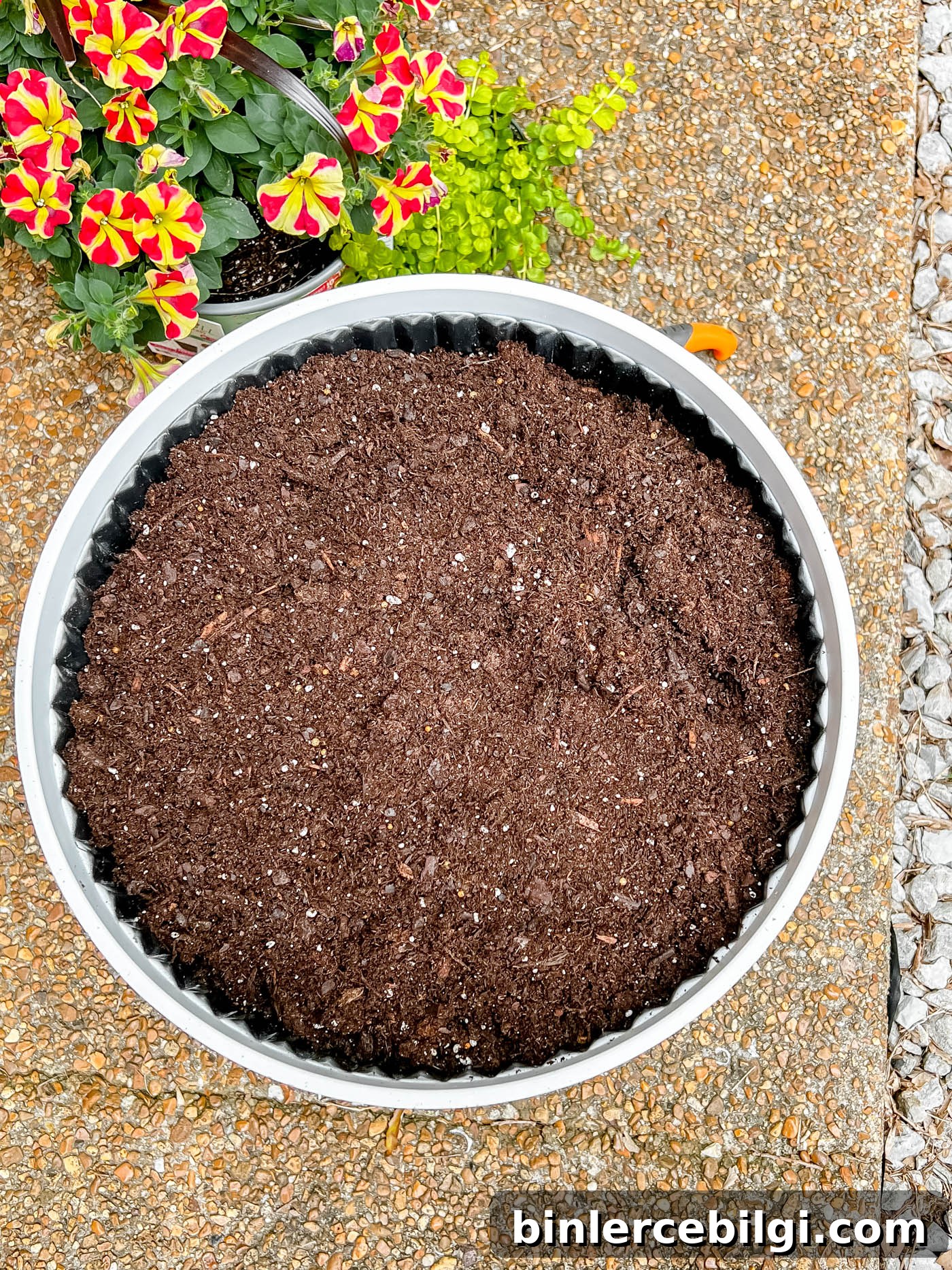 Add soil to pot before planting flowers