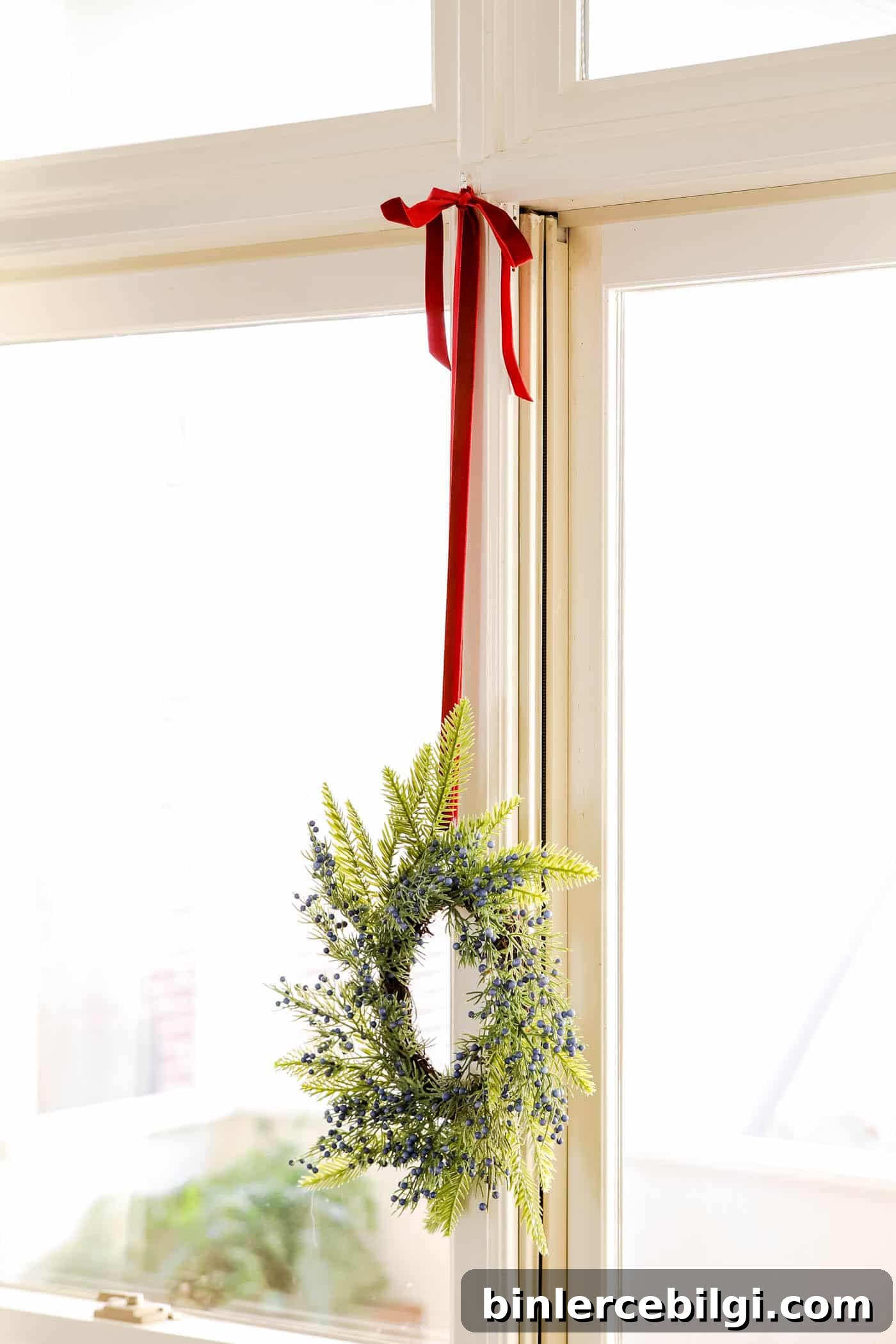Pine and Berry Wreaths in Window with red ribbon