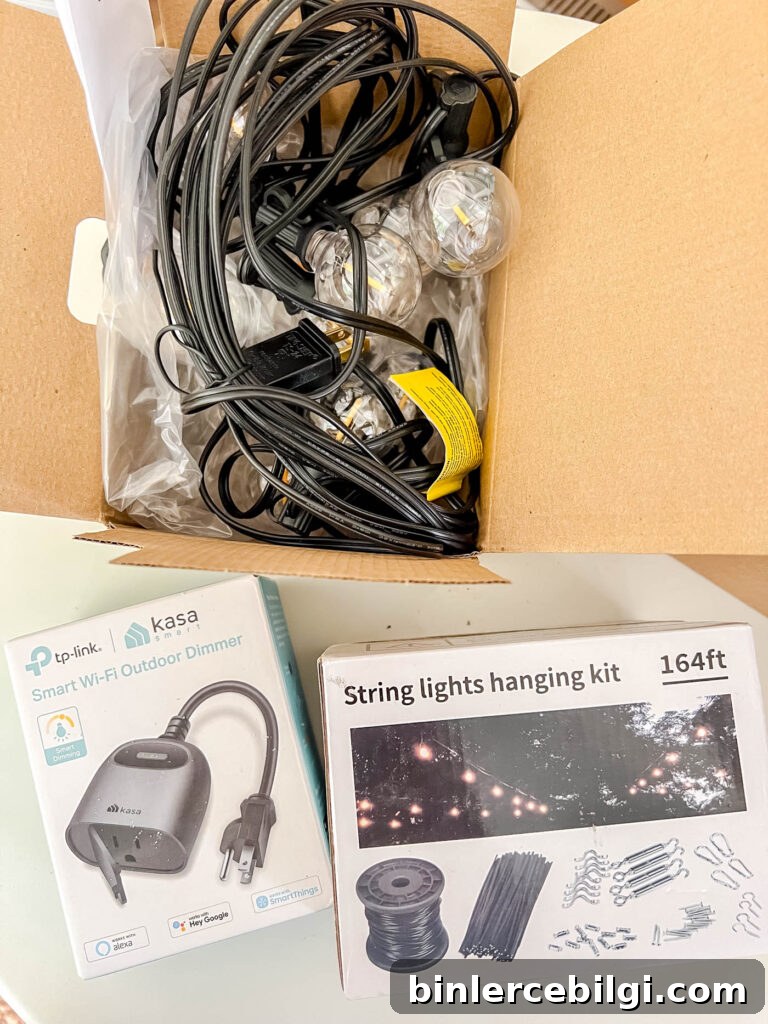 string light kit in a box