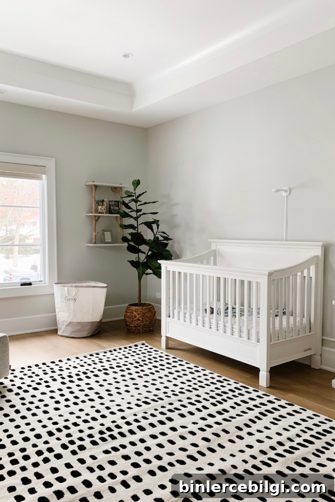 Paper White color walls in a neutral nursery with black and white rug, white crib and fiddle leaf fig tree in the corner.