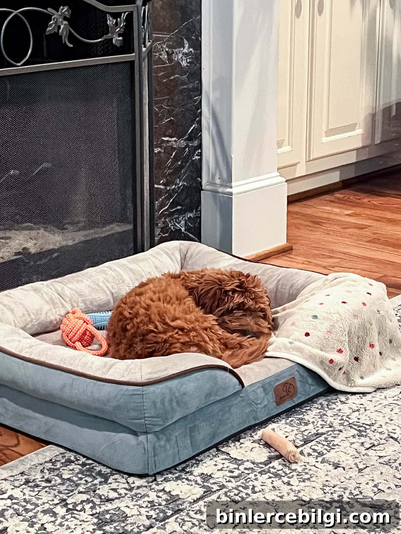 Dog in a blue and white dog bed in front of a fireplace.