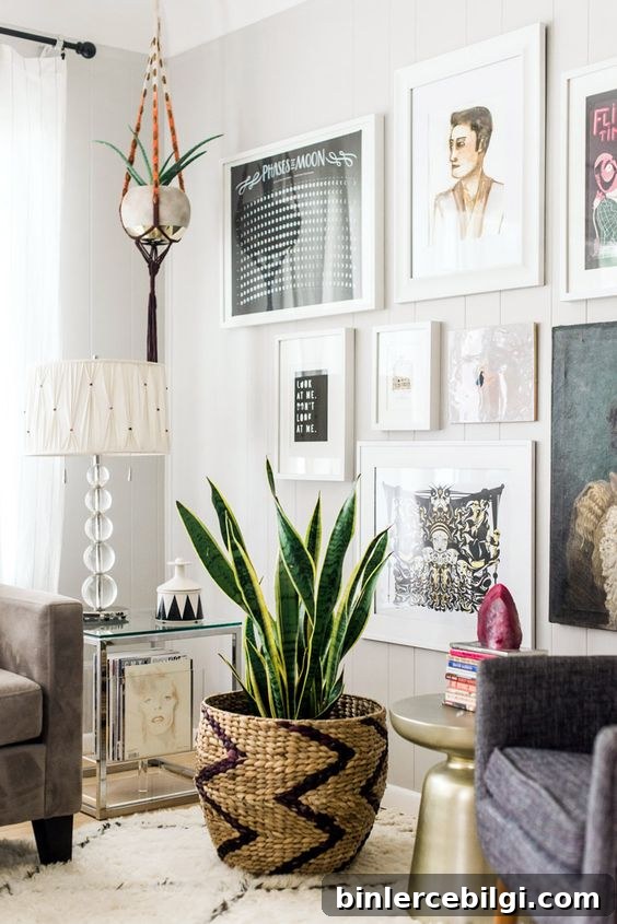 snake plant in a woven basket in a living room with gallery wall.