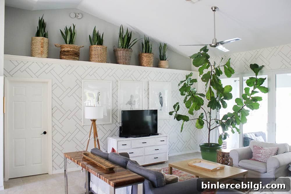 several snake plants on a ledge overlooking a living room