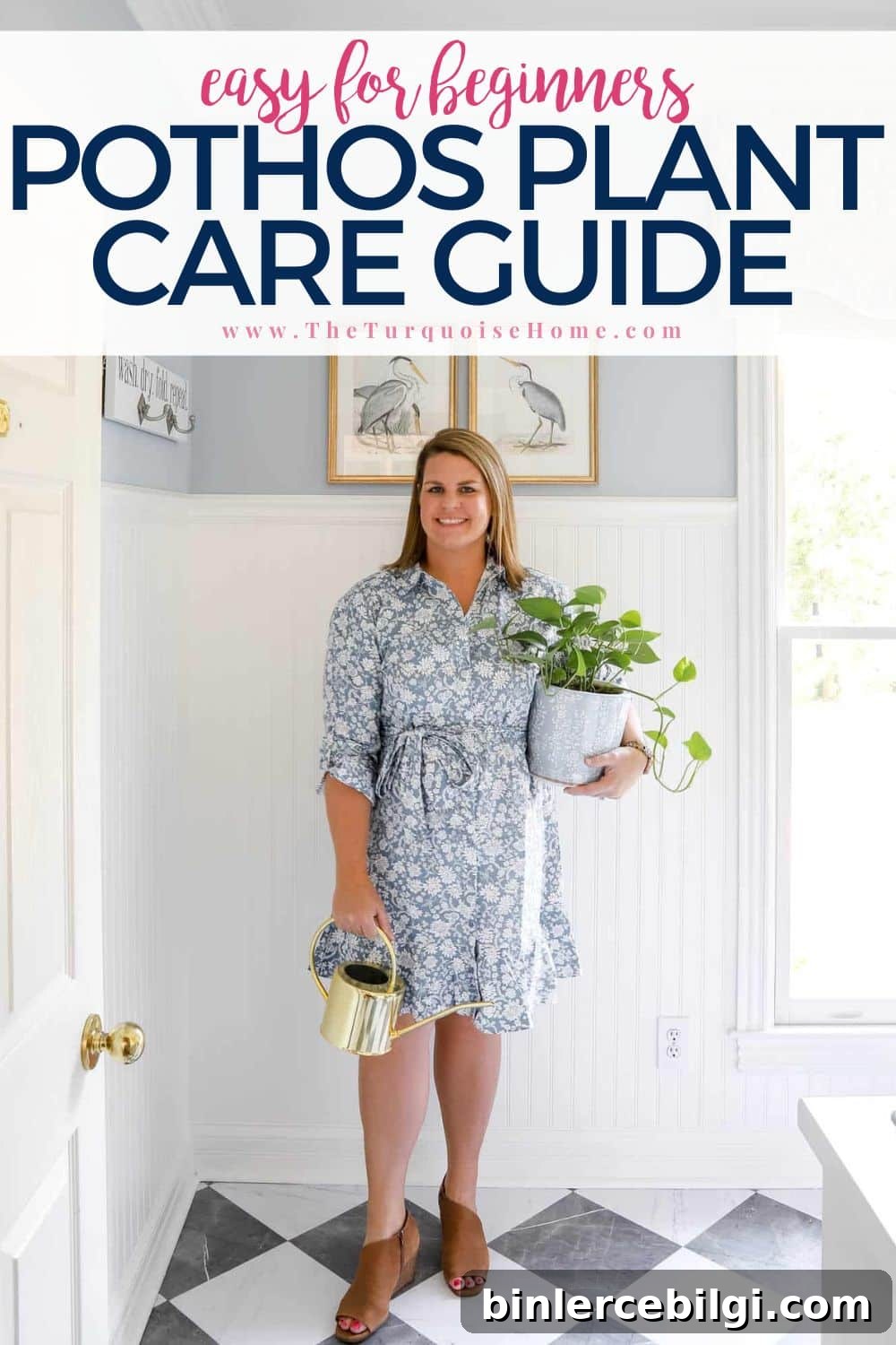 pothos plant care guide