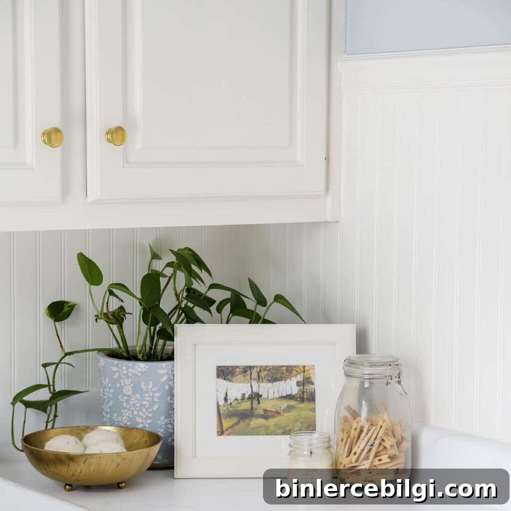 Beadboard wall treatment and pothos plant in laundry room.