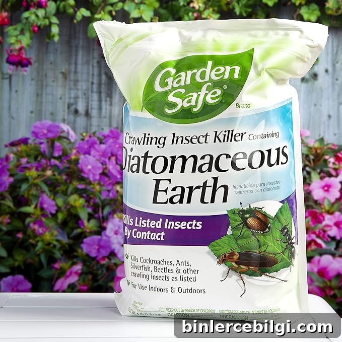 Diatomaceous Earth
