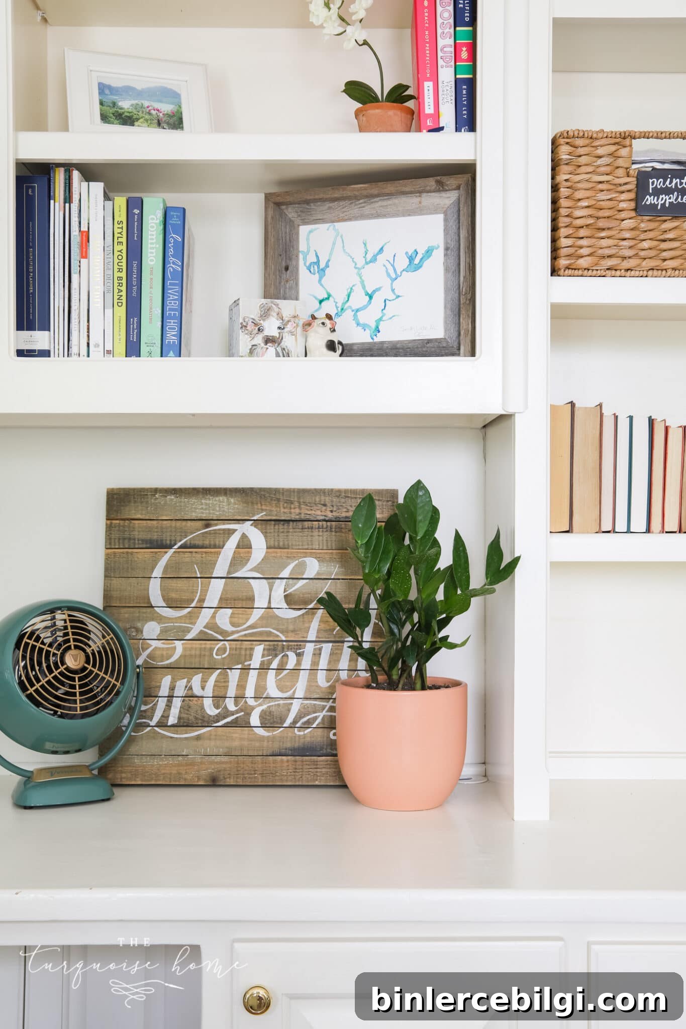 Easy House Plants