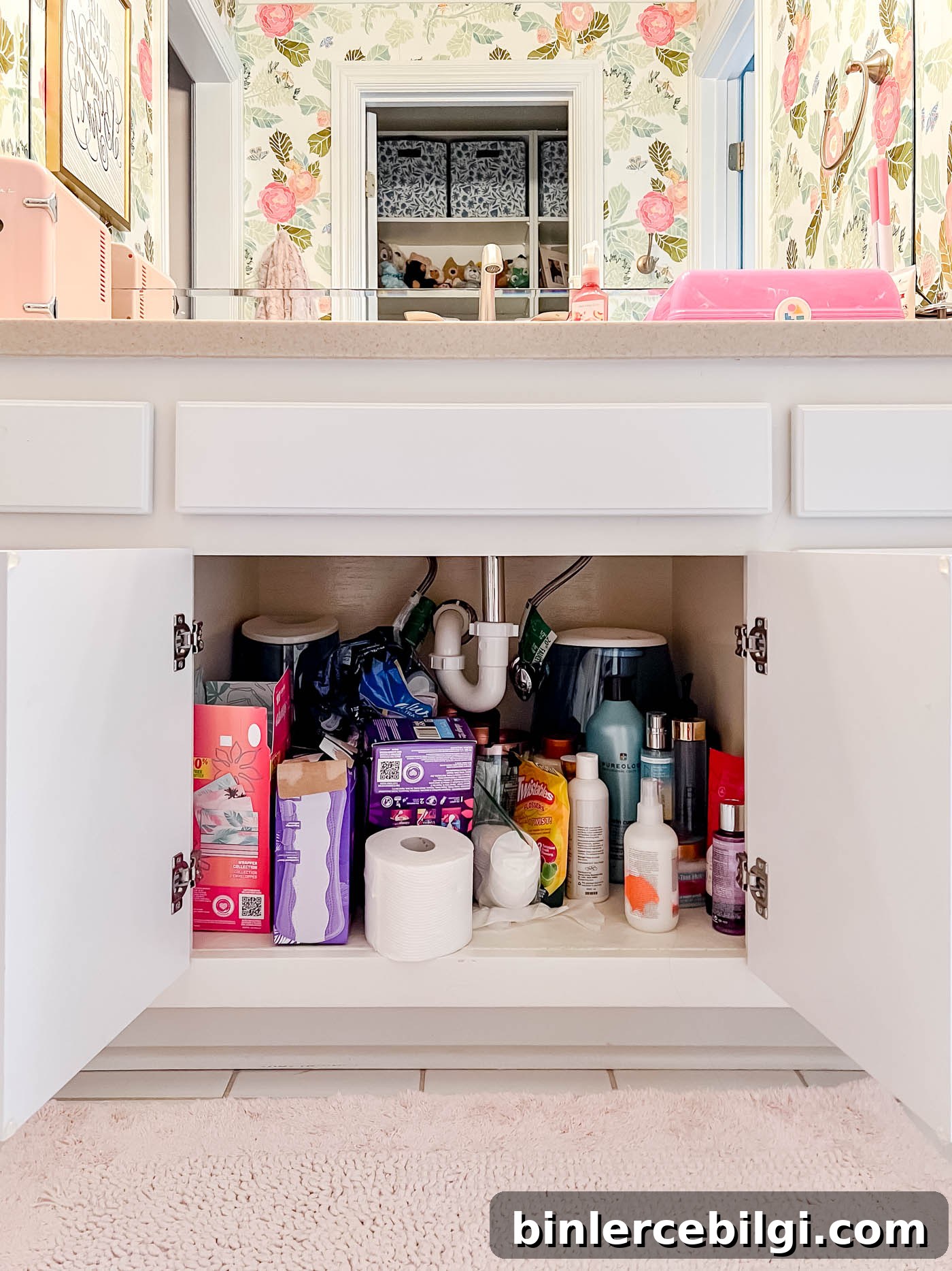 under-the-sink before
