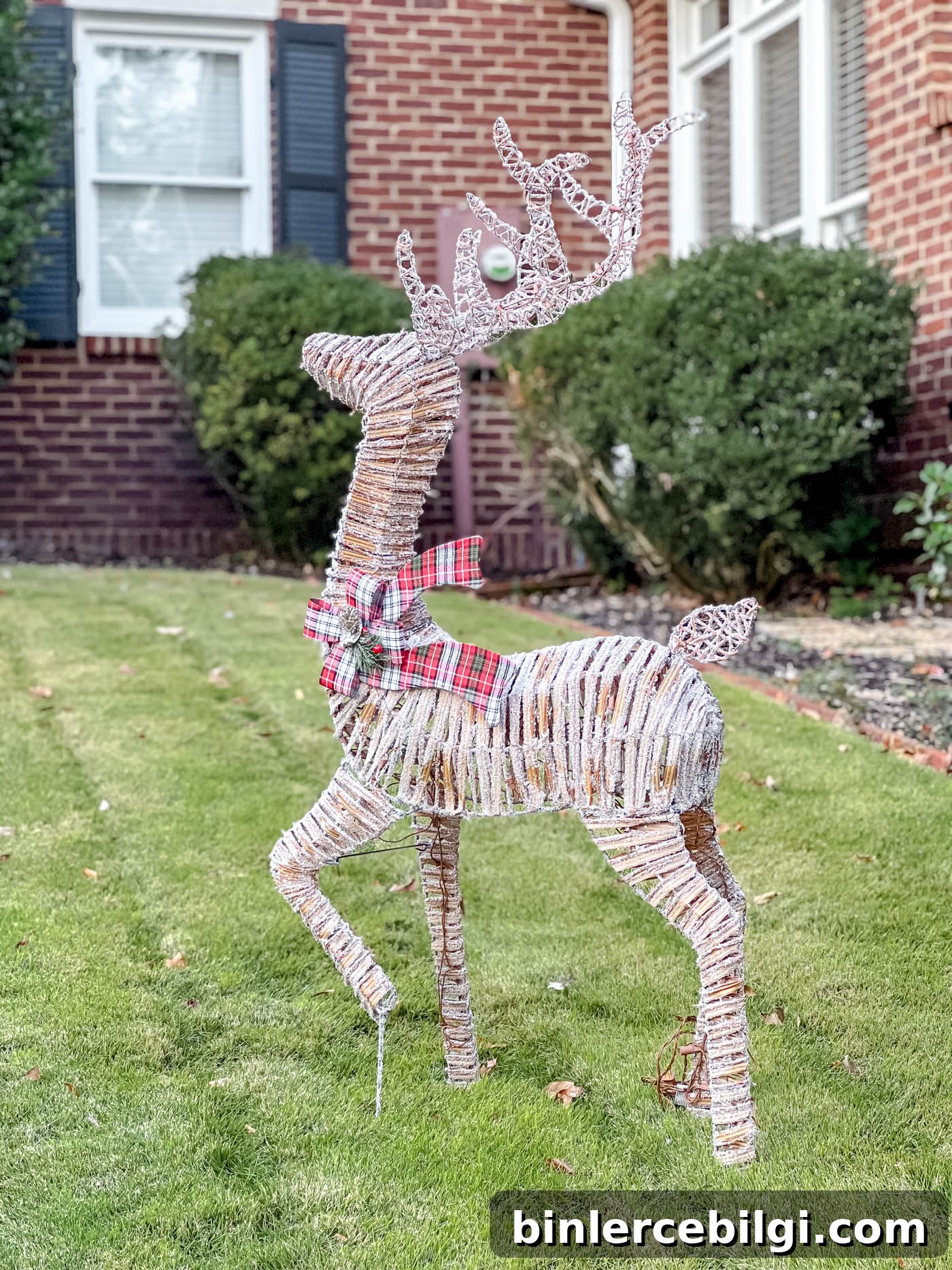 deer buck Outdoor holiday decor