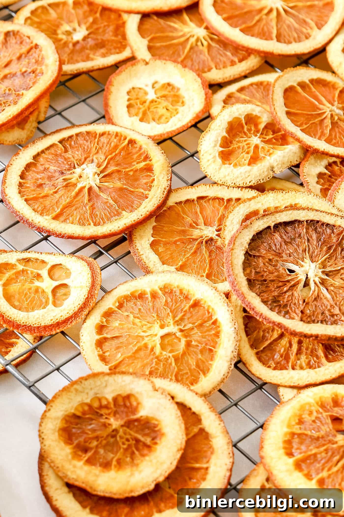 dried orange slices