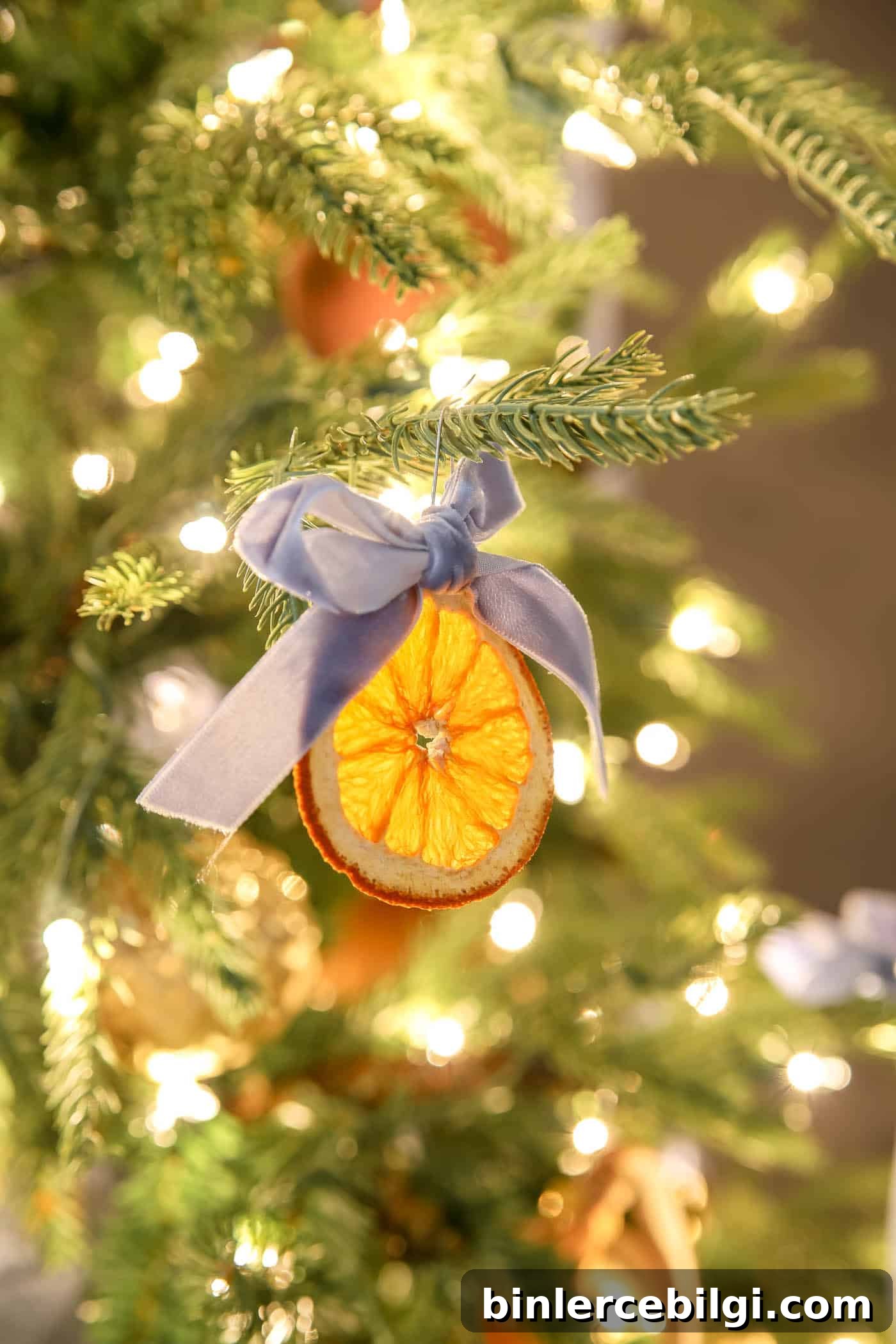 dried orange slice ornament with bow.
