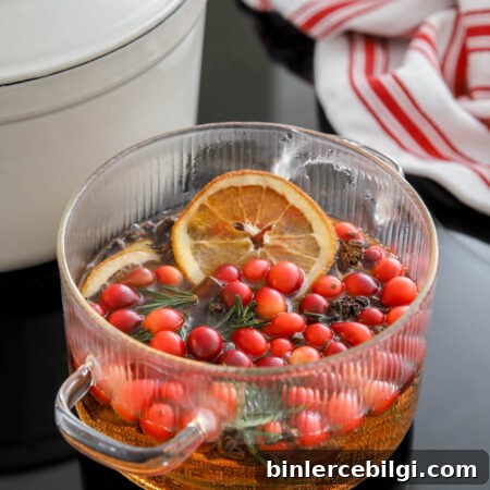 DIY Christmas Simmer Pot Recipe with Free Printable Gift Tags 9 Christmas simmer pot recipe