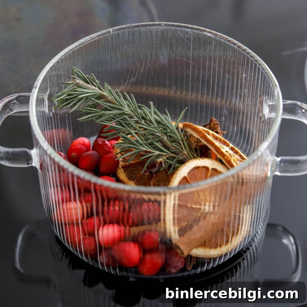 DIY Christmas Simmer Pot Recipe with Free Printable Gift Tags 3 Christmas simmer pot without any water.