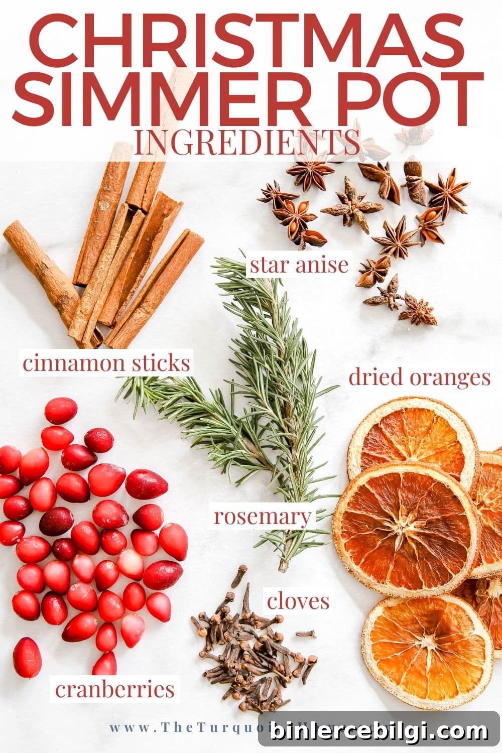 DIY Christmas Simmer Pot Recipe with Free Printable Gift Tags 5 christmas simmer pot ingredients
